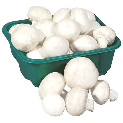 Organic Mushrooms [170 g]