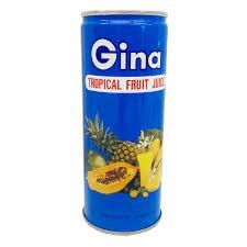 Gina Tropical Juice [250 ml]