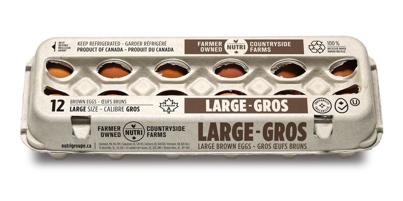 Countryside Eggs Brown Lg [12 s]