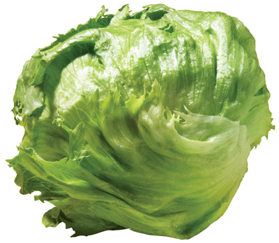 Iceberg Lettuce [1 ea]