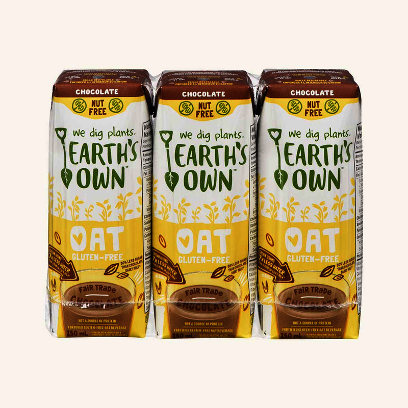 Earth's Own Gluten Free Chocolate Oat Beverage, 250 mL