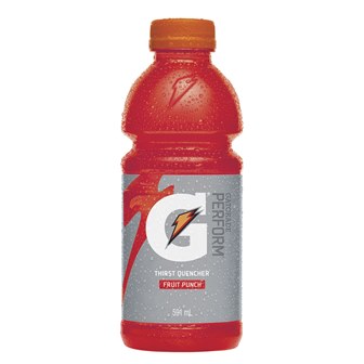 Gatorade Fruit Punch [591 ml]