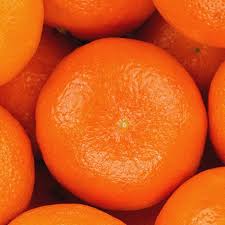 Chinese Mandarine Oranges [5 lb]