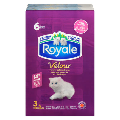 Royale Facial Tissue 3ply 82S [6 ea]