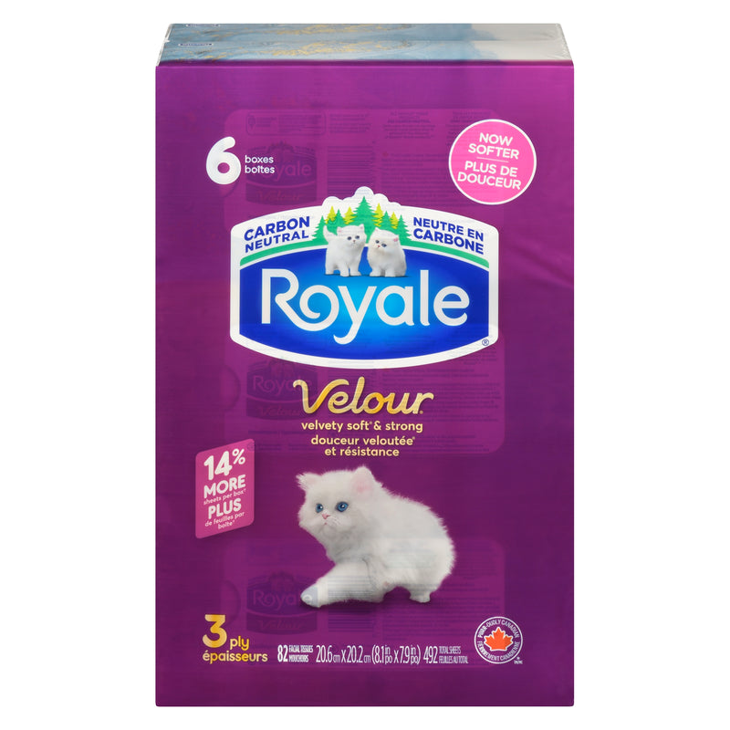 Royale Facial Tissue 3ply 82S [6 ea]