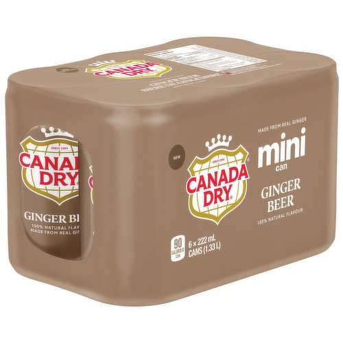 Canada Dry Ginger Beer [6 pcs]